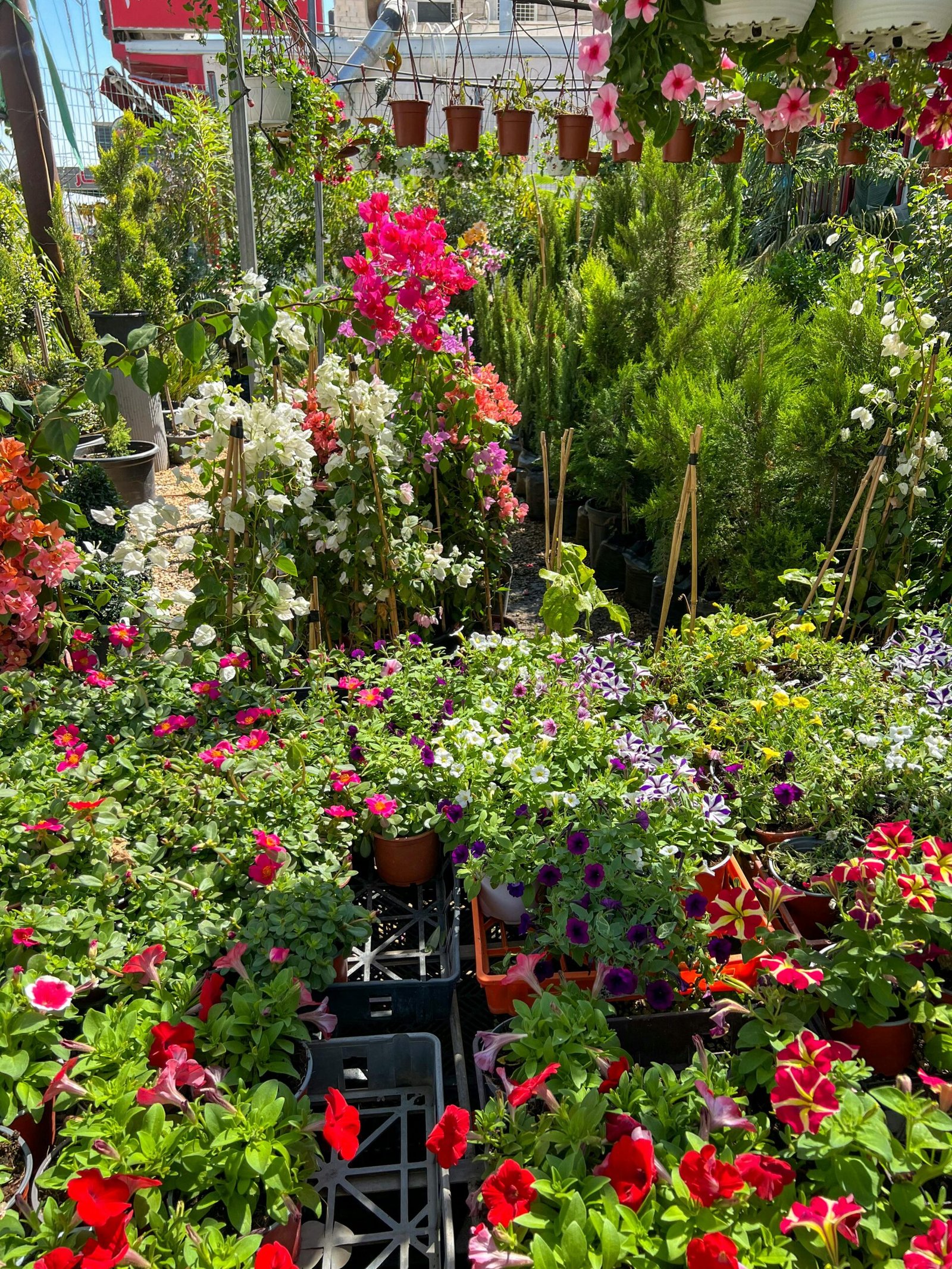 Pexels George 2157044273 34974663 Y858rXZbtvsmzzJr Scaled