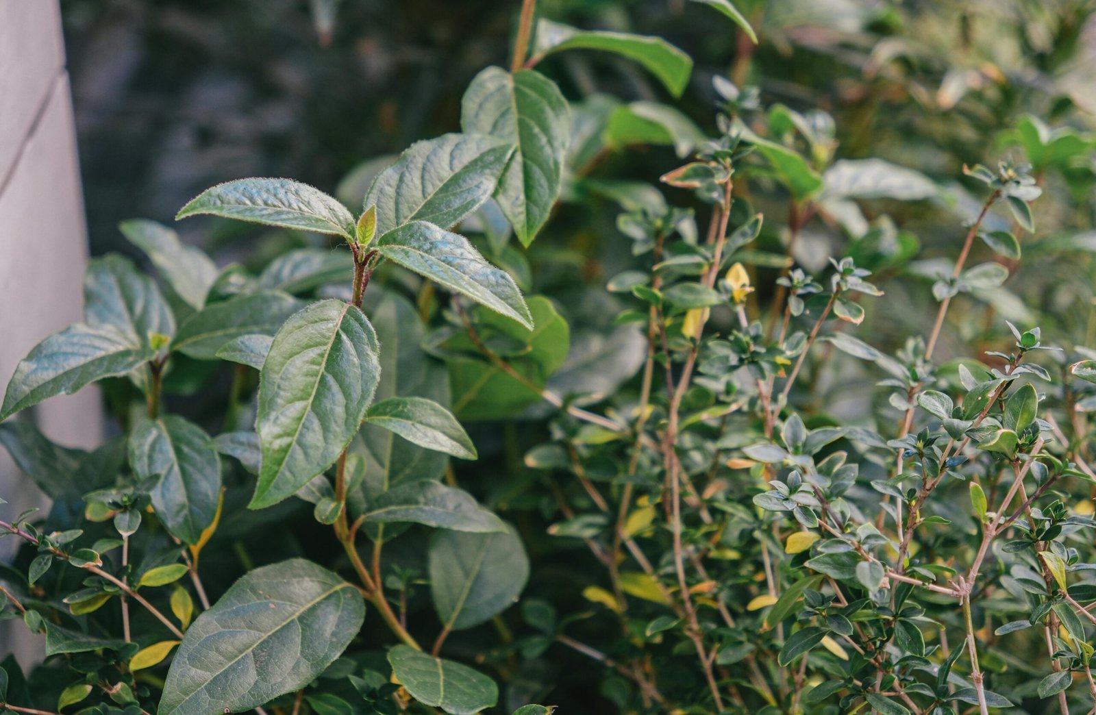 Pexels Huy Phan 316220 34975679 SlN0zsYUCB56D62T Scaled