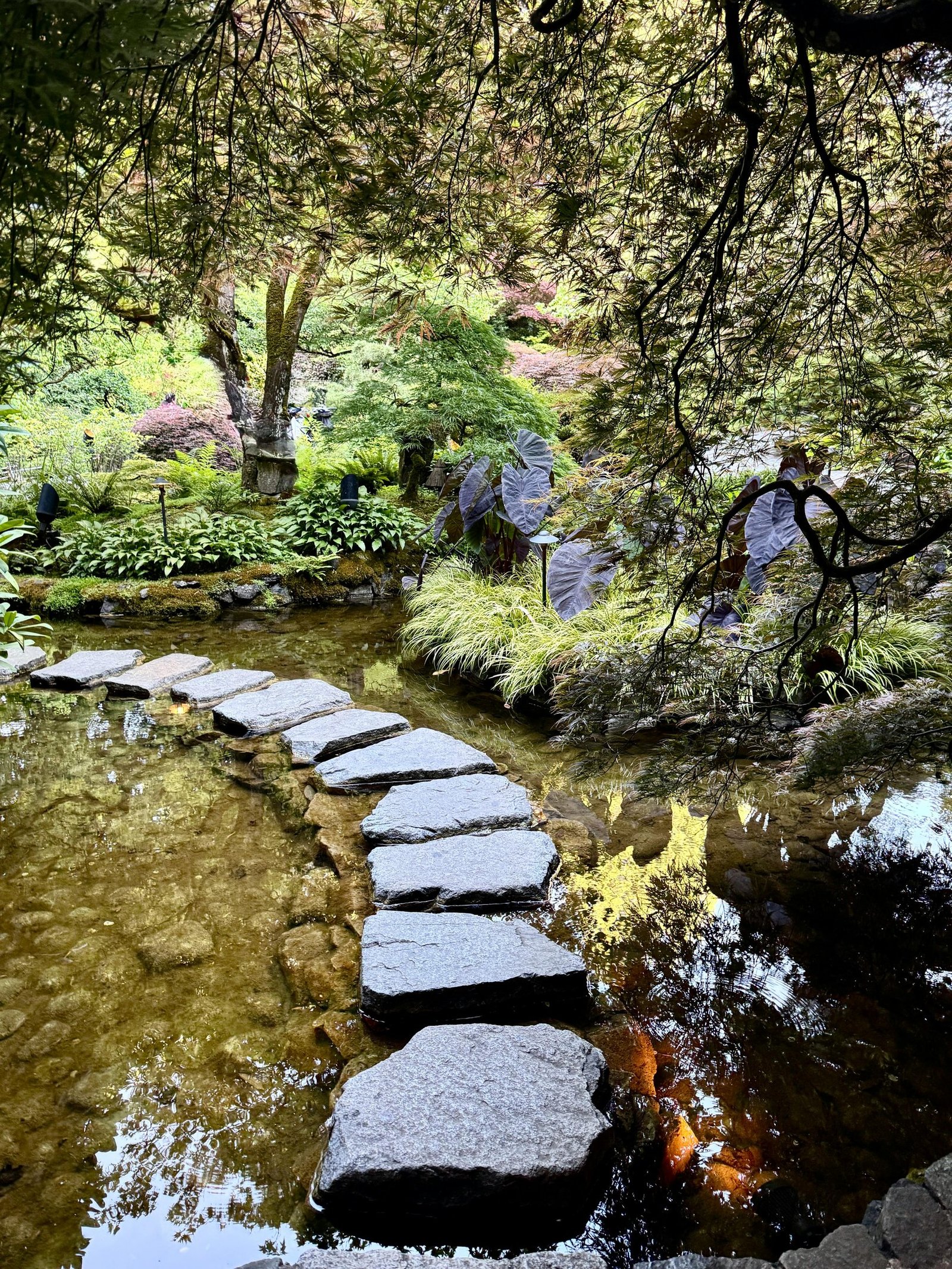 Decora tu espacio exterior con piedras para jardín: ideas y consejos